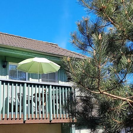 Ferienwohnung Strandwurzel Zempin Eksteriør billede